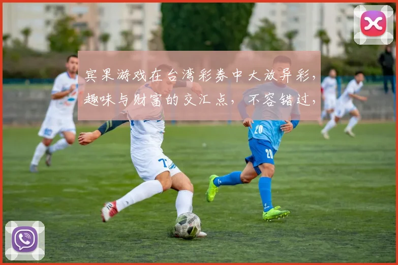宾果游戏在台湾彩券中大放异彩，趣味与财富的交汇点，不容错过，揭秘三重惊喜