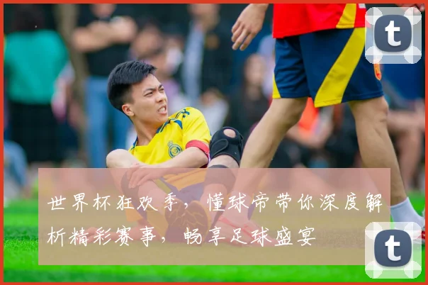 世界杯狂欢季，懂球帝带你深度解析精彩赛事，畅享足球盛宴