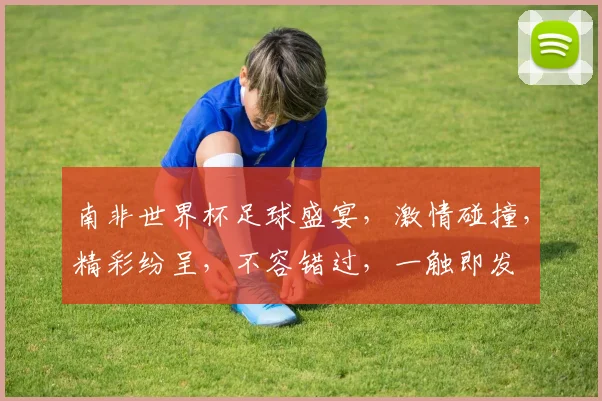 南非世界杯足球盛宴，激情碰撞，精彩纷呈，不容错过，一触即发